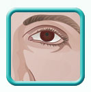 Thumb-male-head-anatomy-image