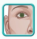 Thumb-female-head-anatomy-image