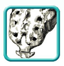 Thumb-sacrum-image-illustration