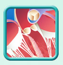 Thumb-heart-pacemaker-image